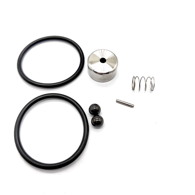 KIT DE RÉPARATION CLAPET ANTI-RETOUR WS POMPE MINEURE WS1021